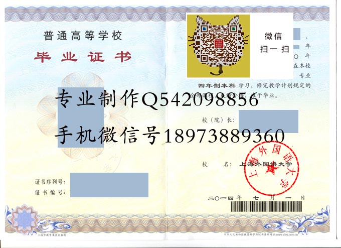 上海外国语大学2014 拷贝